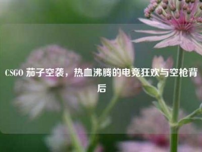 CSGO 茄子空袭，热血沸腾的电竞狂欢与空枪背后