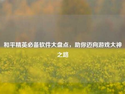 和平精英必备软件大盘点，助你迈向游戏大神之路