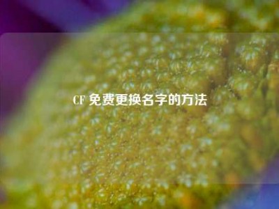 CF 免费更换名字的方法