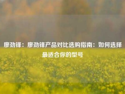 廖劲锋：廖劲锋产品对比选购指南：如何选择最适合你的型号