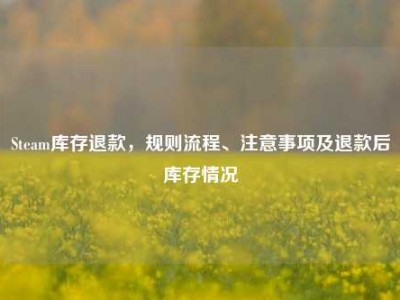 Steam库存退款，规则流程、注意事项及退款后库存情况