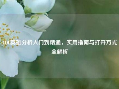 LOL英雄分析入门到精通，实用指南与打开方式全解析