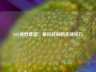 LOL视野套路，掌控战局的关键技巧