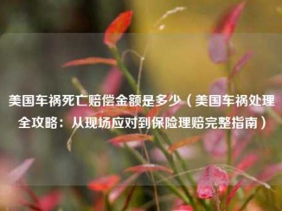 美国车祸死亡赔偿金额是多少（美国车祸处理全攻略：从现场应对到保险理赔完整指南）