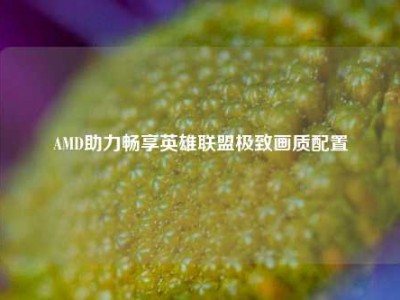 AMD助力畅享英雄联盟极致画质配置
