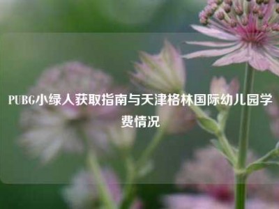 PUBG小绿人获取指南与天津格林国际幼儿园学费情况