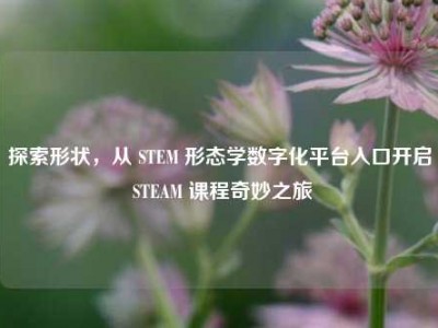 探索形状，从 STEM 形态学数字化平台入口开启 STEAM 课程奇妙之旅