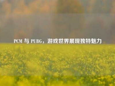 PCM 与 PUBG，游戏世界展现独特魅力