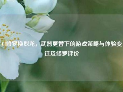 Cf修罗换烈龙，武器更替下的游戏策略与体验变迁及修罗评价