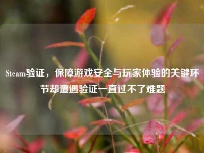 Steam验证，保障游戏安全与玩家体验的关键环节却遭遇验证一直过不了难题