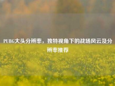 PUBG大头分辨率，独特视角下的战场风云及分辨率推荐