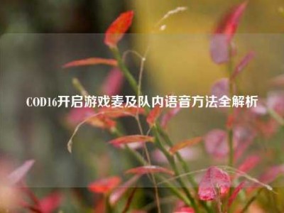 COD16开启游戏麦及队内语音方法全解析