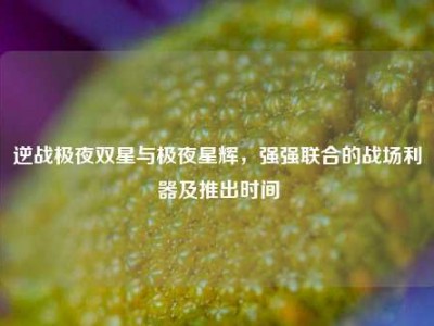 逆战极夜双星与极夜星辉，强强联合的战场利器及推出时间