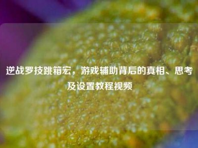 逆战罗技跳箱宏，游戏辅助背后的真相、思考及设置教程视频