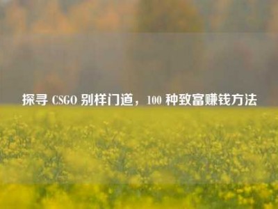 探寻 CSGO 别样门道，100 种致富赚钱方法