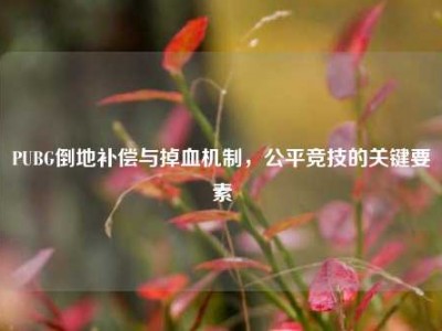 PUBG倒地补偿与掉血机制，公平竞技的关键要素