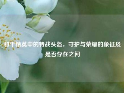 和平精英中的特战头盔，守护与荣耀的象征及是否存在之问