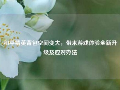 和平精英背包空间变大，带来游戏体验全新升级及应对办法
