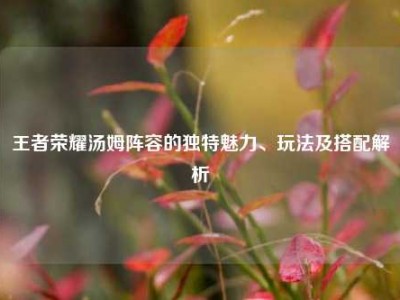 王者荣耀汤姆阵容的独特魅力、玩法及搭配解析