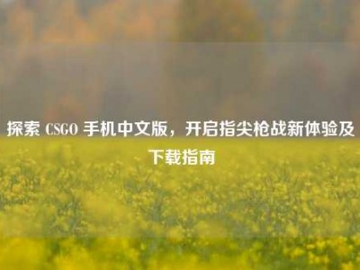 探索 CSGO 手机中文版，开启指尖枪战新体验及下载指南