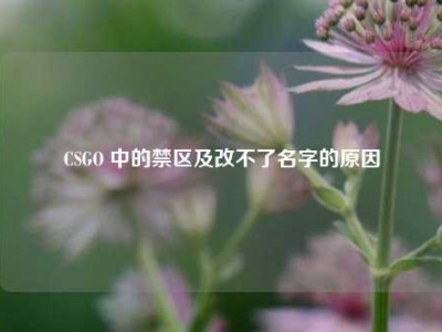 CSGO 中的禁区及改不了名字的原因