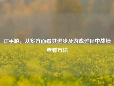 CF手游，从多方面看其进步及游戏过程中战绩查看方法