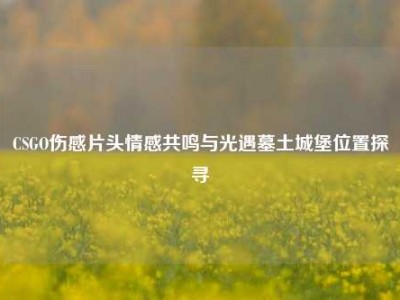 CSGO伤感片头情感共鸣与光遇墓土城堡位置探寻