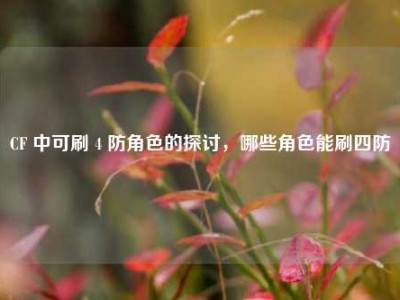 CF 中可刷 4 防角色的探讨，哪些角色能刷四防