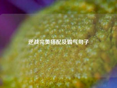 逆战完美搭配及霸气句子