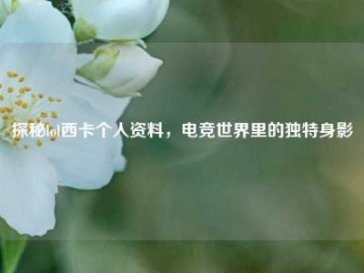 探秘lol西卡个人资料，电竞世界里的独特身影