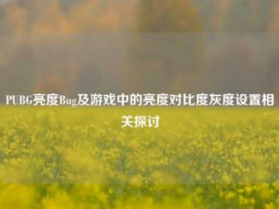 PUBG亮度Bug及游戏中的亮度对比度灰度设置相关探讨