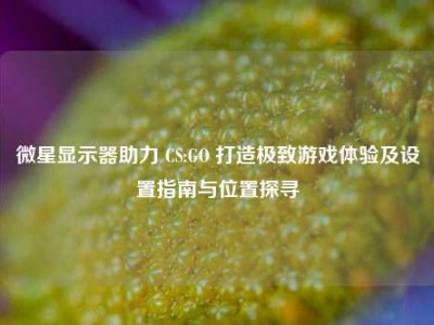 微星显示器助力 CS:GO 打造极致游戏体验及设置指南与位置探寻