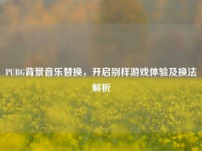 PUBG背景音乐替换，开启别样游戏体验及换法解析