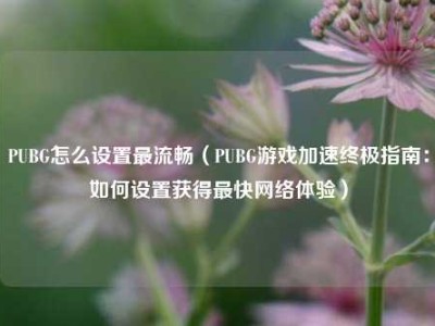 PUBG怎么设置最流畅（PUBG游戏加速终极指南：如何设置获得最快网络体验）