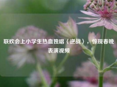 联欢会上小学生热血独唱〈逆战〉，惊现春晚表演视频