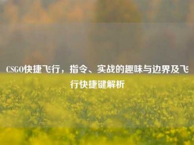 CSGO快捷飞行，指令、实战的趣味与边界及飞行快捷键解析