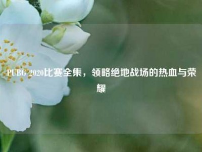 PUBG 2020比赛全集，领略绝地战场的热血与荣耀