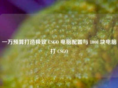 一万预算打造极致 CSGO 电脑配置与 1000 块电脑打 CSGO