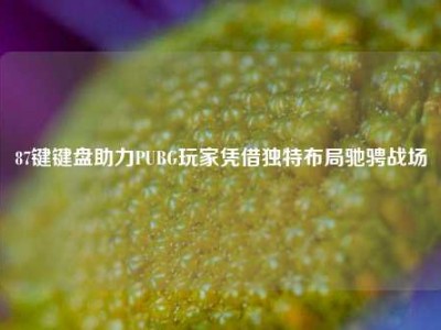 87键键盘助力PUBG玩家凭借独特布局驰骋战场