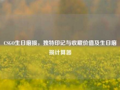 CSGO生日磨损，独特印记与收藏价值及生日磨损计算器