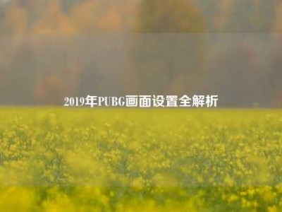 2019年PUBG画面设置全解析