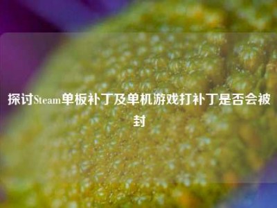 探讨Steam单板补丁及单机游戏打补丁是否会被封