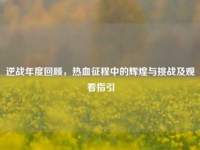 逆战年度回顾，热血征程中的辉煌与挑战及观看指引