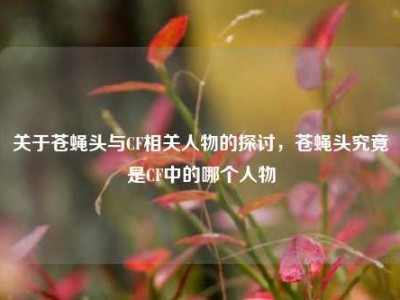 关于苍蝇头与CF相关人物的探讨，苍蝇头究竟是CF中的哪个人物