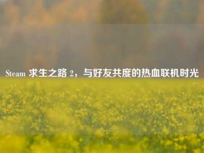 Steam 求生之路 2，与好友共度的热血联机时光