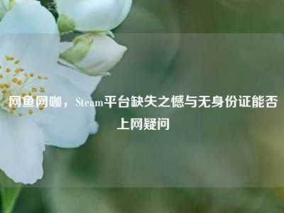 网鱼网咖，Steam平台缺失之憾与无身份证能否上网疑问