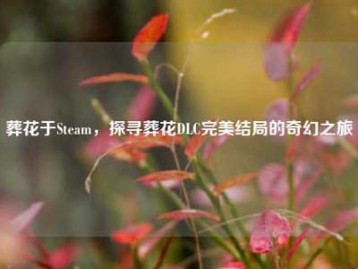 葬花于Steam，探寻葬花DLC完美结局的奇幻之旅