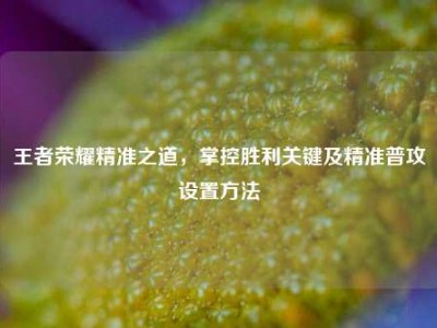 王者荣耀精准之道，掌控胜利关键及精准普攻设置方法
