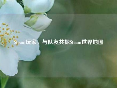 Steam玩家，与队友共探Steam世界地图