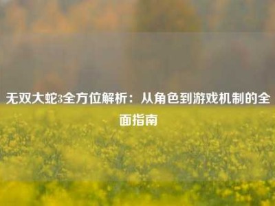无双大蛇3全方位解析：从角色到游戏机制的全面指南